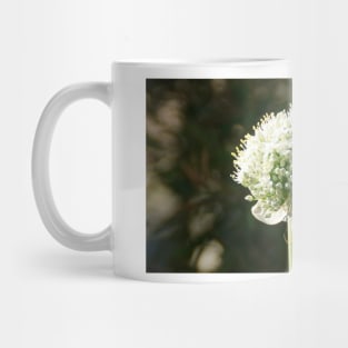 White Onion Flower by Avril Thomas Mug